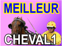 MEILLEUR CHEVAL 1